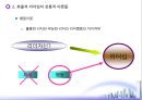 전통적 리더십 이론과 현대적 리더십 이론 (리더십의 개념, 효율적 리더십의 전통적 이론들, 효율적 리더십의 현대적 이론들).ppt 15페이지