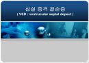 VSD PPT 1페이지