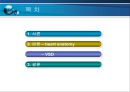 VSD PPT 2페이지