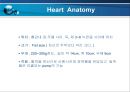 VSD PPT 3페이지