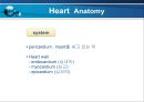 VSD PPT 4페이지