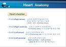 VSD PPT 5페이지