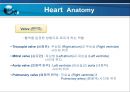 VSD PPT 7페이지