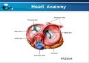 VSD PPT 8페이지