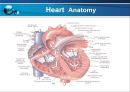 VSD PPT 9페이지