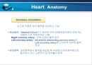 VSD PPT 10페이지