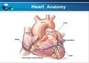 VSD PPT 11페이지