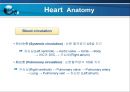 VSD PPT 12페이지