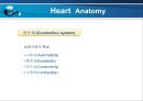 VSD PPT 14페이지