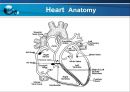 VSD PPT 15페이지