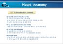 VSD PPT 16페이지