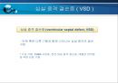 VSD PPT 17페이지