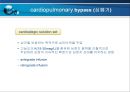 VSD PPT 35페이지