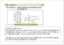 탄수화물 PPT 파워포인트 (식품화학) 15페이지