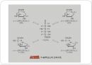 탄수화물 PPT 파워포인트 (식품화학) 19페이지