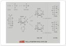 탄수화물 PPT 파워포인트 (식품화학) 20페이지