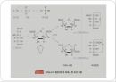 탄수화물 PPT 파워포인트 (식품화학) 21페이지