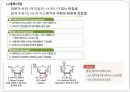 탄수화물 PPT 파워포인트 (식품화학) 36페이지