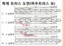 목재트러스트(건축시공학, 목재트러스트도면, 실험, 파괴) PPT, 파워포인트 9페이지