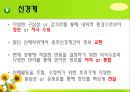 뇌신경 (腦神經 cranial nerve) 레포트.ppt 2페이지