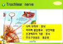 뇌신경 (腦神經 cranial nerve) 레포트.ppt 18페이지