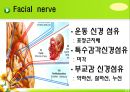 뇌신경 (腦神經 cranial nerve) 레포트.ppt 25페이지