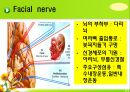 뇌신경 (腦神經 cranial nerve) 레포트.ppt 26페이지