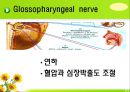 뇌신경 (腦神經 cranial nerve) 레포트.ppt 31페이지