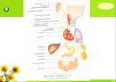 뇌신경 (腦神經 cranial nerve) 레포트.ppt 36페이지