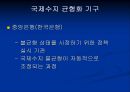 한국 국제 수지의 변화 ppt 15페이지