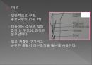 모기의 분류 및 형태 4페이지