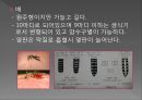 모기의 분류 및 형태 6페이지
