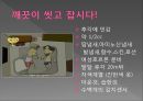모기의 분류 및 형태 18페이지