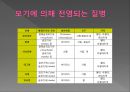 모기의 분류 및 형태 25페이지