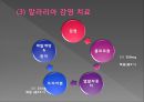 모기의 분류 및 형태 29페이지