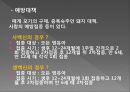 모기의 분류 및 형태 36페이지