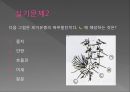 모기의 분류 및 형태 60페이지