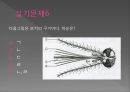 모기의 분류 및 형태 64페이지