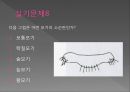 모기의 분류 및 형태 67페이지