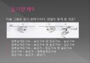 모기의 분류 및 형태 68페이지