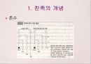 친족 6페이지