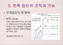 친족 17페이지