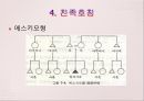 친족 23페이지
