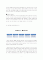 제주항공 기업분석및 제주항공 서비스마케팅 전략분석및 제주항공 미래전략 제안 레포트 7페이지