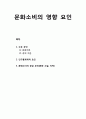 문화文化소비의 영향 요인에 대한 이해 - 수요 요인(문화자본, 경제 자본), 인구통계학적 요인, 문화소비의 공급 요인(문화 시설, 지역) 1페이지