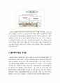 볼런투어리즘에 대한 이해 (볼런투어리즘의 등장登場 배경과 개념 정의 및 볼런투어리즘의 영역과 유형화) 8페이지