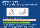 인지주의_학습이론_PPT 14페이지