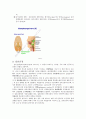 [의학] 신경계 - 중추신경계(CNS)의 총정리 {척수, 뇌간, 소뇌, 전뇌(간뇌.대뇌반구), 전도로, 말초신경계, 척추신경, 뇌신경, 자율신경계} 44페이지
