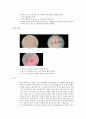 [생물학 실험] 동물세포의 관찰 : 크기가 작아 육안으로는 파악하기 힘든 동물세포(적혈구, 구강 상피세포) 정밀히 관찰하여 그 구조를 확인하고, 염색약, 현미경의 사용법을 익힌다 2페이지