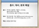 약리학 - 국소마취제.pptx 7페이지